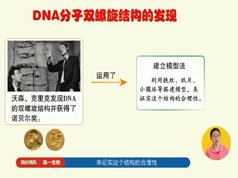 2025 |高一生物提分宝典教学视频全套(毕诗秀老师 17大板块)