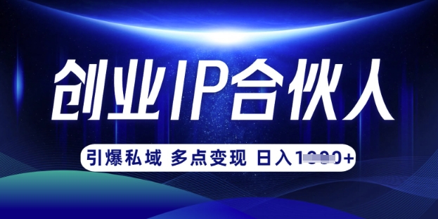 云帆·创业ip合伙人打造3.0，从0到1教你做网创，实现月入过W