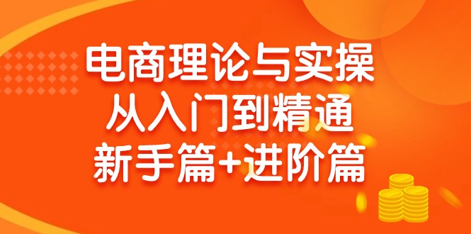 (9576期)电商理论与实操从入门到精通 新手篇+进阶篇