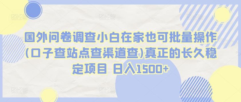 国外问卷调查小白在家也可批量操作(口子查站点查渠道查)真正的长久稳定项目 日入1500+【揭秘】