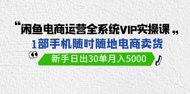 (9547期)闲鱼电商运营全系统VIP实战课，1部手机随时随地卖货，新手日出30单月入5000