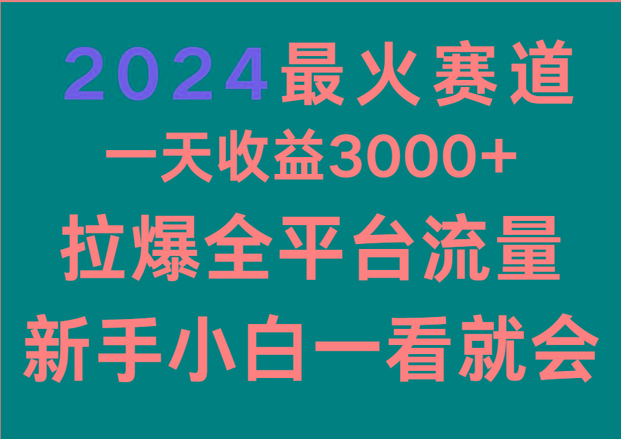 2024最火赛道，一天收一3000+.拉爆全平台流量，新手小白一看就会