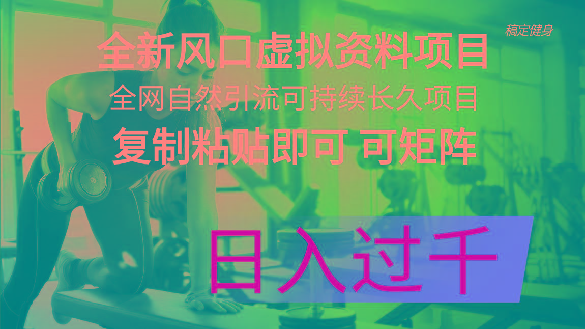 全新风口虚拟资料项目 全网自然引流可持续长久项目 复制粘贴即可可矩阵…