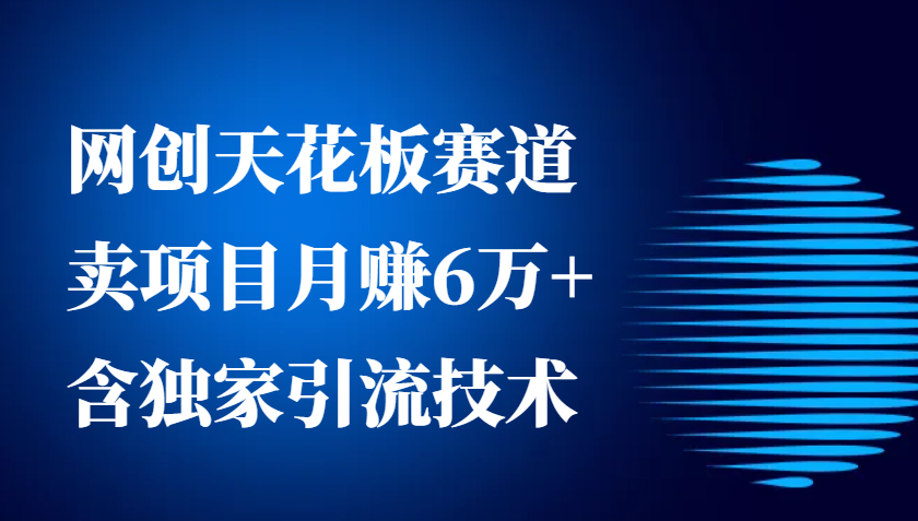 网创天花板赛道，卖项目月赚6万+，含独家引流技术(共26节课)【焦圣希18818568866】