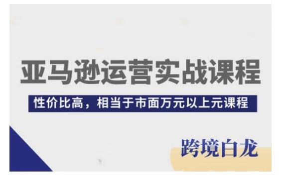 亚马逊运营实战课程，亚马逊从入门到精通，性价比高，相当于市面万元以上元课程【焦圣希18818568866】