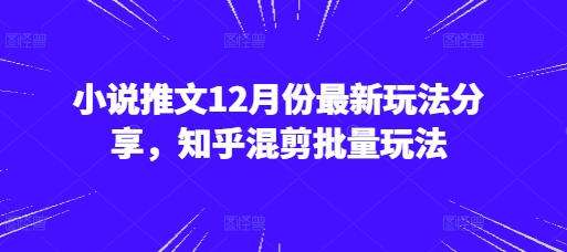 小说推文12月份最新玩法分享，知乎混剪批量玩法【焦圣希18818568866】