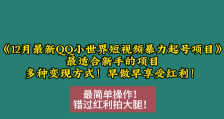 12月最新QQ小世界短视频暴力起号项目，最适合新手的项目，多种变现方式【焦圣希18818568866】