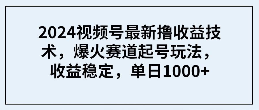 (9651期) 2024视频号最新撸收益技术，爆火赛道起号玩法，收益稳定，单日1000+