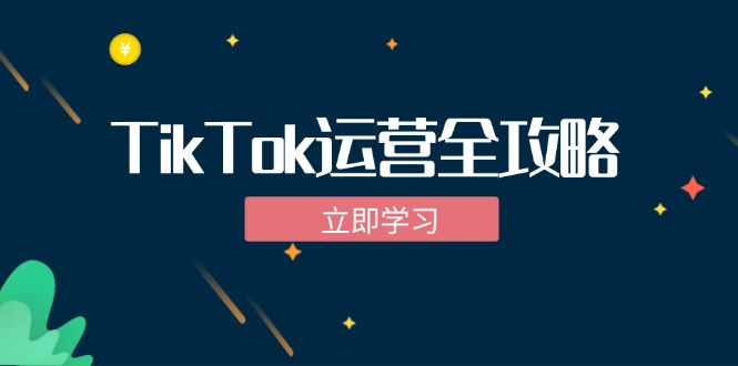 TikTok实战运营全攻略：从下载软件到变现，抖音海外版实操教程