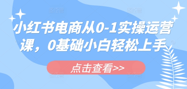 小红书电商从0-1实操运营课，0基础小白轻松上手