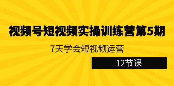 视频号短视频实操训练营第5期：7天学会短视频运营(12节课)